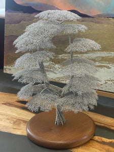 Twin Trunk Bonsai by Clive Maddison