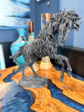Wild Horse by Melanie Deegan