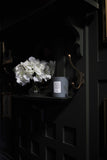No 3. Atelier